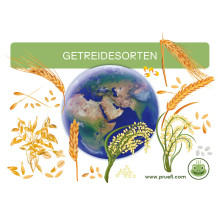 Getreidesorten Arbeitskartei