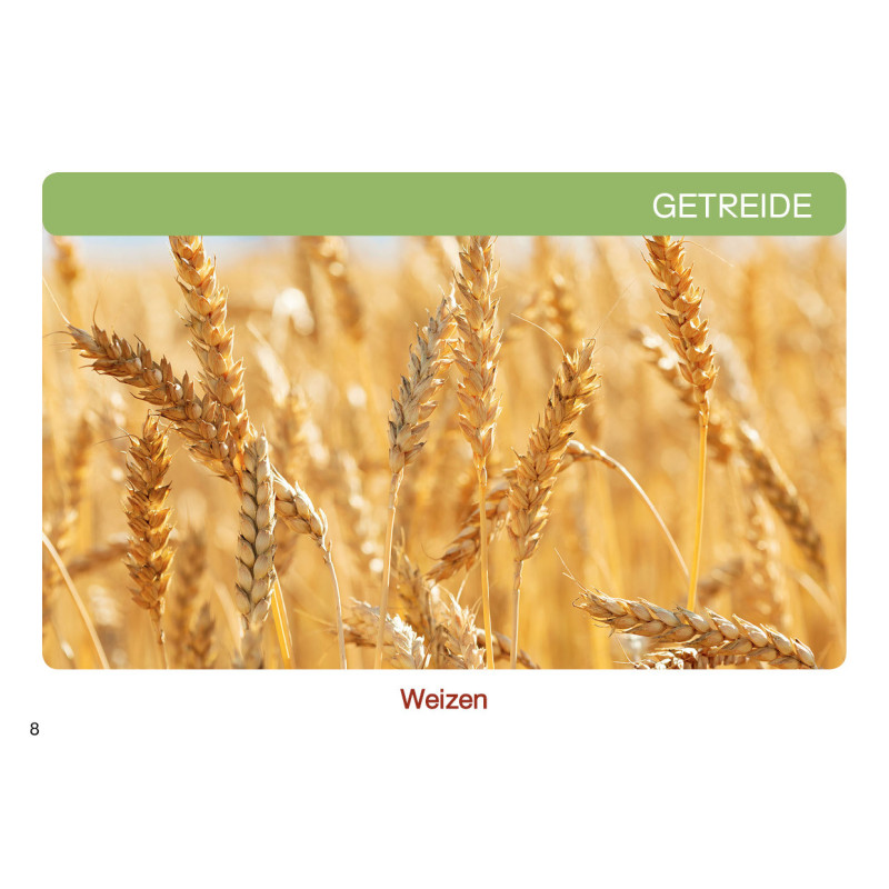 Getreidesorten Arbeitskartei
