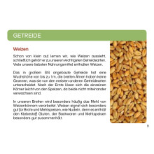 Getreidesorten Arbeitskartei
