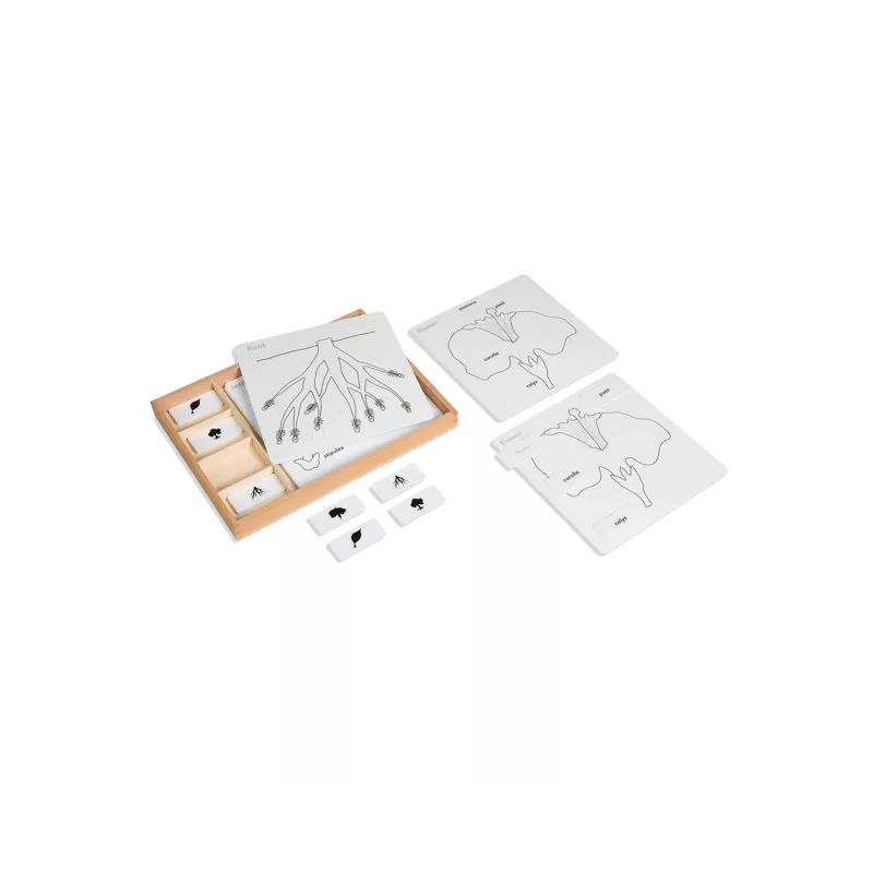 Kontrolné karty pre botanické puzzle (anglická verzia)
