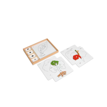Kontrolné karty pre botanické puzzle (anglická verzia)