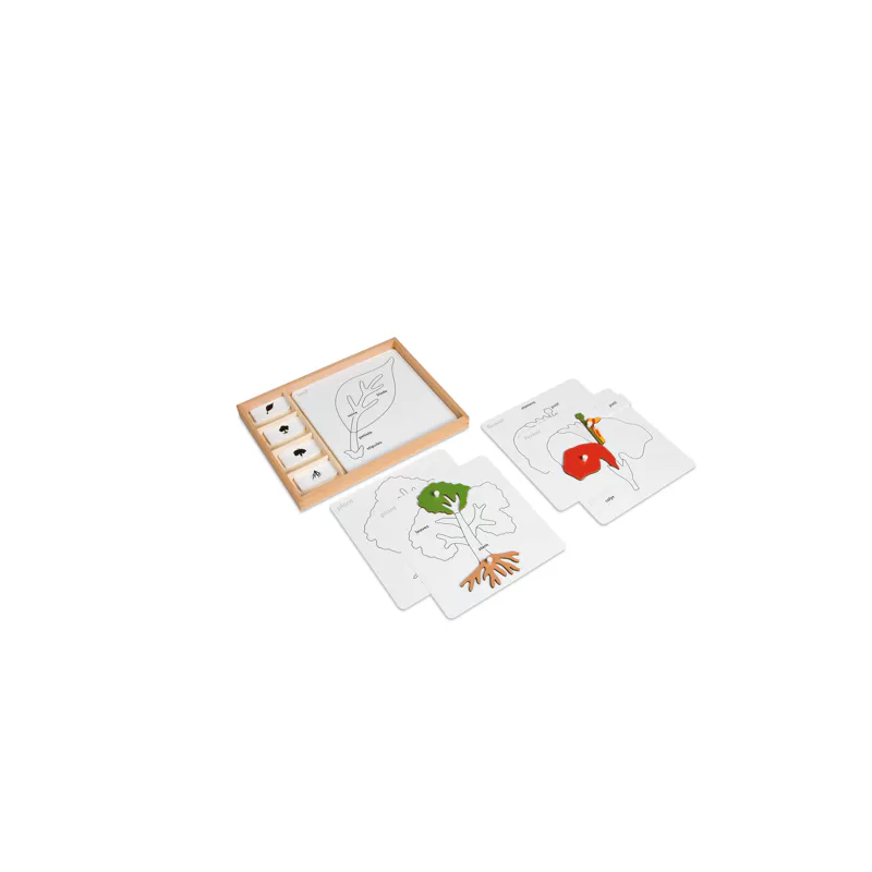 Kontrolné karty pre botanické puzzle (anglická verzia)