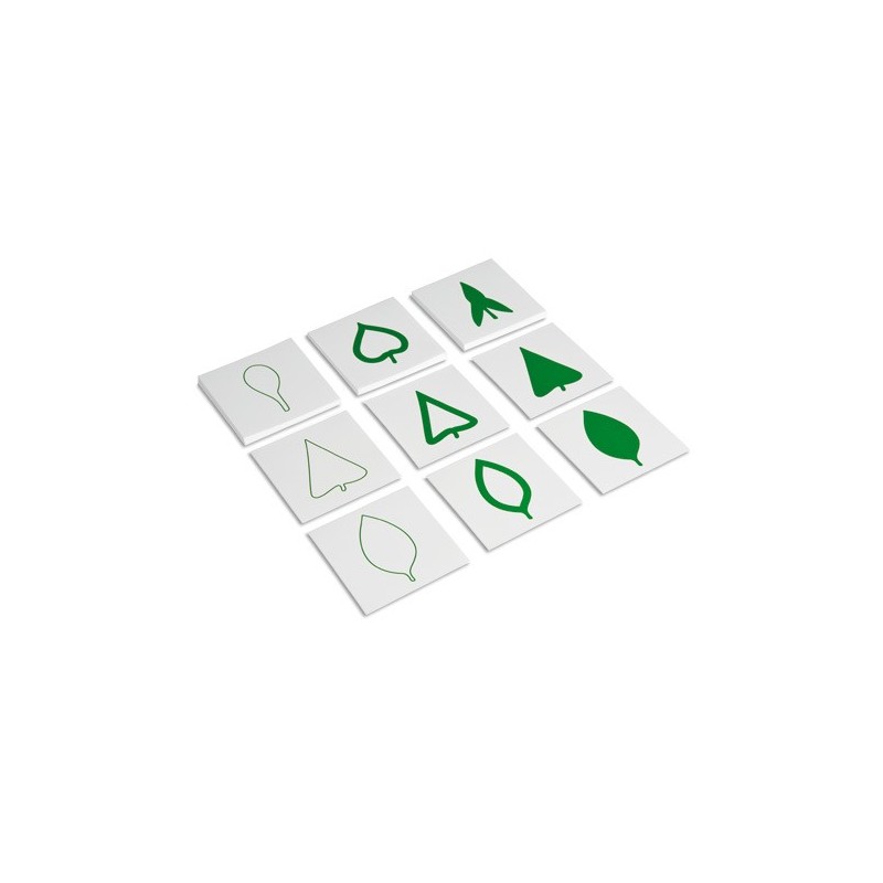 Sada botanickej karty