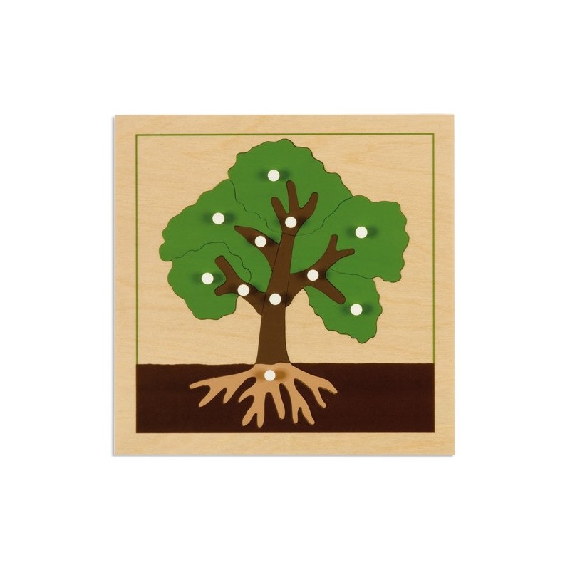 Botany Puzzle: Tree