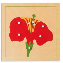 Botanisches Puzzle: Blüte