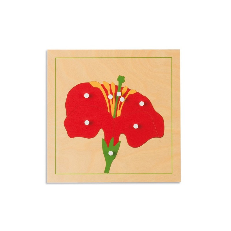 Botany Puzzle: Flower