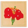 Botanisches Puzzle: Blüte
