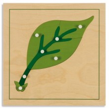 Botanisches Puzzle: Blatt