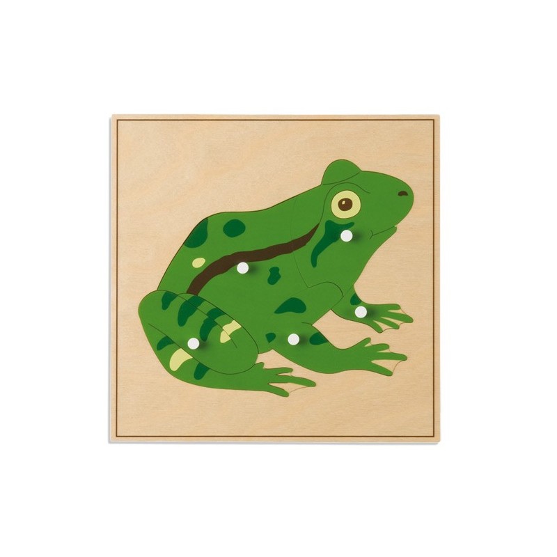 Tierpuzzle: Frosch