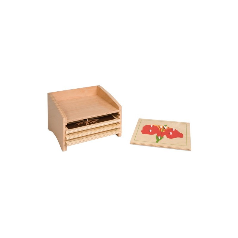 Kasten mit 4 Fächern für die Botanischen Puzzles