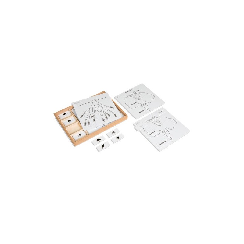 Control cards for the botanical puzzles