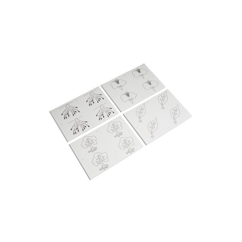 Kopiervorlagen für die Botanischen Puzzles