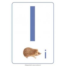 ABC Bodenplakate für Kindergarten A4