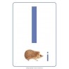 ABC floor posters for kindergarten A4