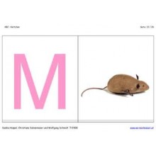 ABC cards