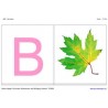 ABC cards