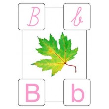 ABC nástenné plagáty do školy A4