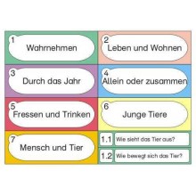 Affen - Teil 1