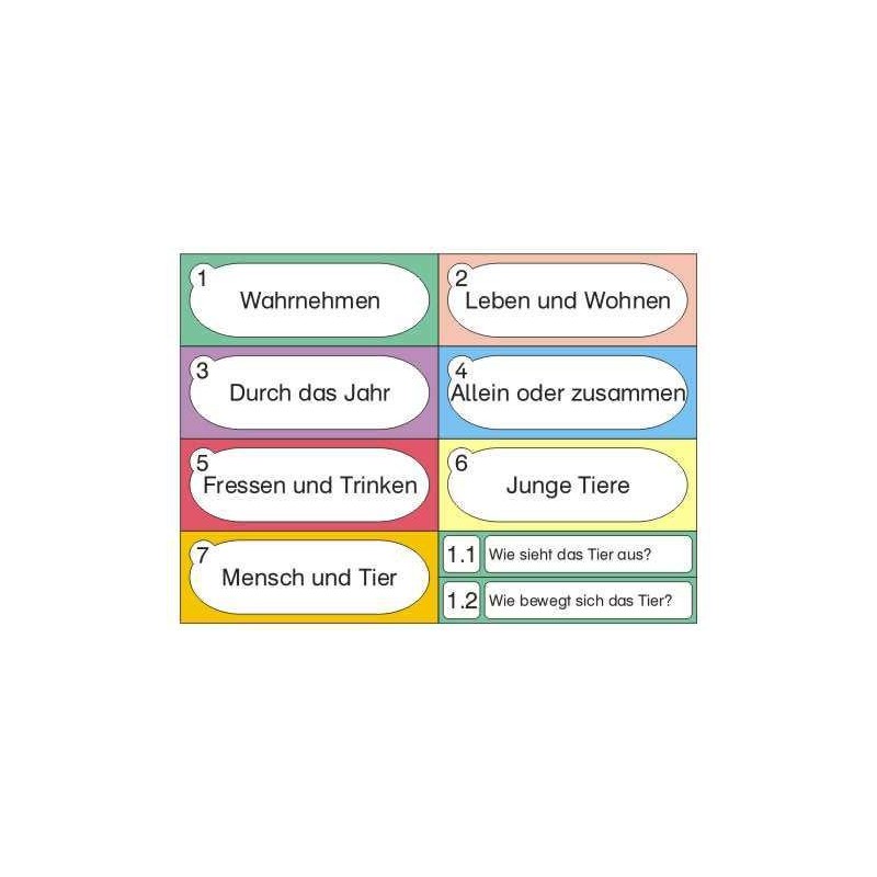 Affen - Teil 1