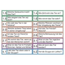 Affen - Teil 1