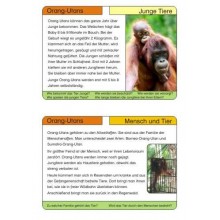 Monkeys - part 1