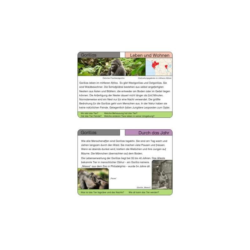 Monkeys - part 1