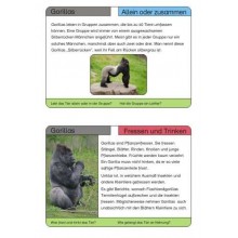 Monkeys - part 1