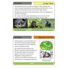 Monkeys - part 1
