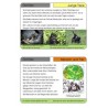Monkeys - part 1