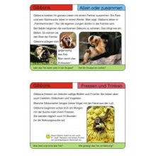 Monkeys - part 1