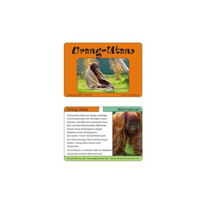 Monkeys - part 1