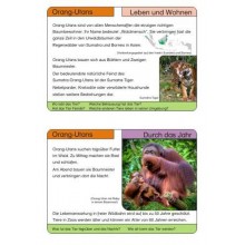 Monkeys - part 1
