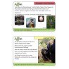 Monkeys - part 1