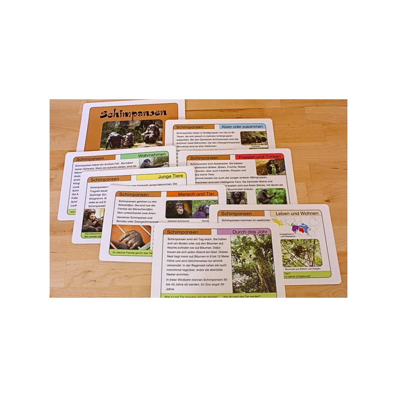 Affen - Teil 1