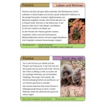 Monkeys - part 2