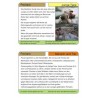 Monkeys - part 2