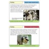 Monkeys - part 2