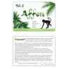 Affen - Teil 2