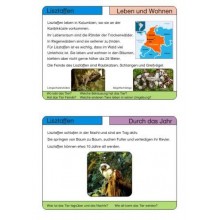 Monkeys - part 2