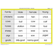 Animal Families (This article is also available in German)