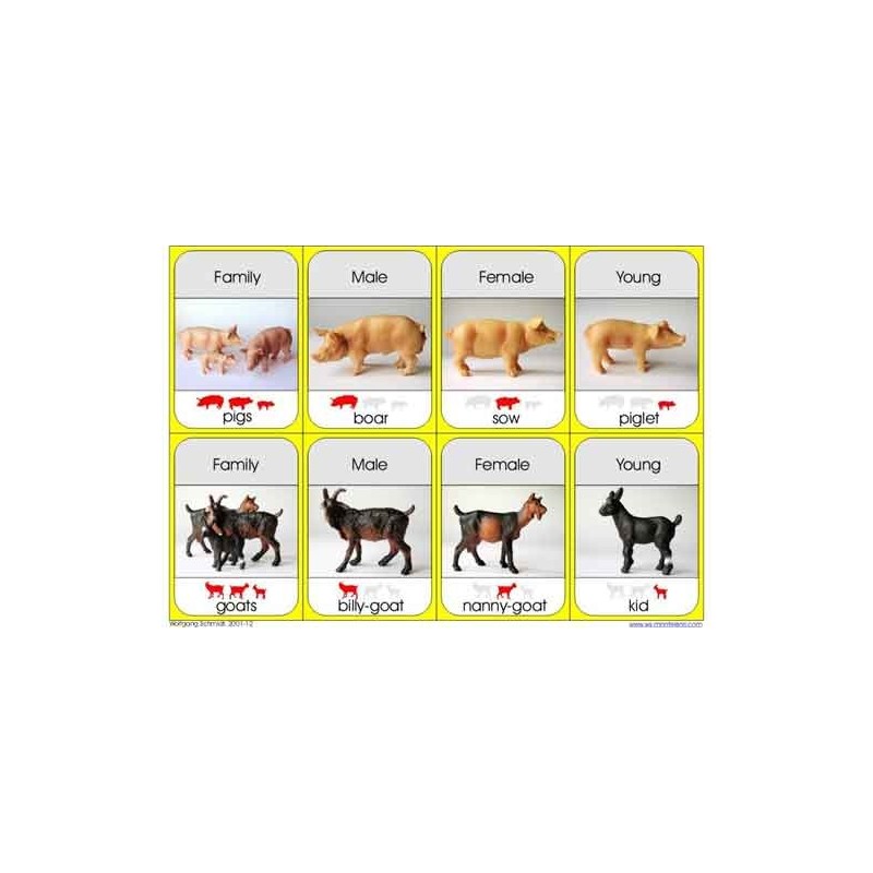 Animal Families	 (Dieser Artikel ist auch in deutsch erhältlich)