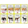 Animal Families	 (Dieser Artikel ist auch in deutsch erhältlich)