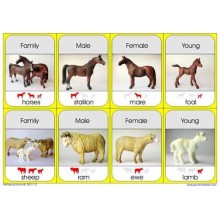 Animal Families	 (Dieser Artikel ist auch in deutsch erhältlich)
