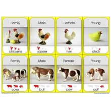 Animal Families	 (Dieser Artikel ist auch in deutsch erhältlich)