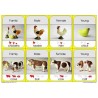 Animal Families	 (Dieser Artikel ist auch in deutsch erhältlich)