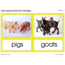 Animal Families	 (Dieser Artikel ist auch in deutsch erhältlich)