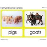Animal Families	 (Dieser Artikel ist auch in deutsch erhältlich)