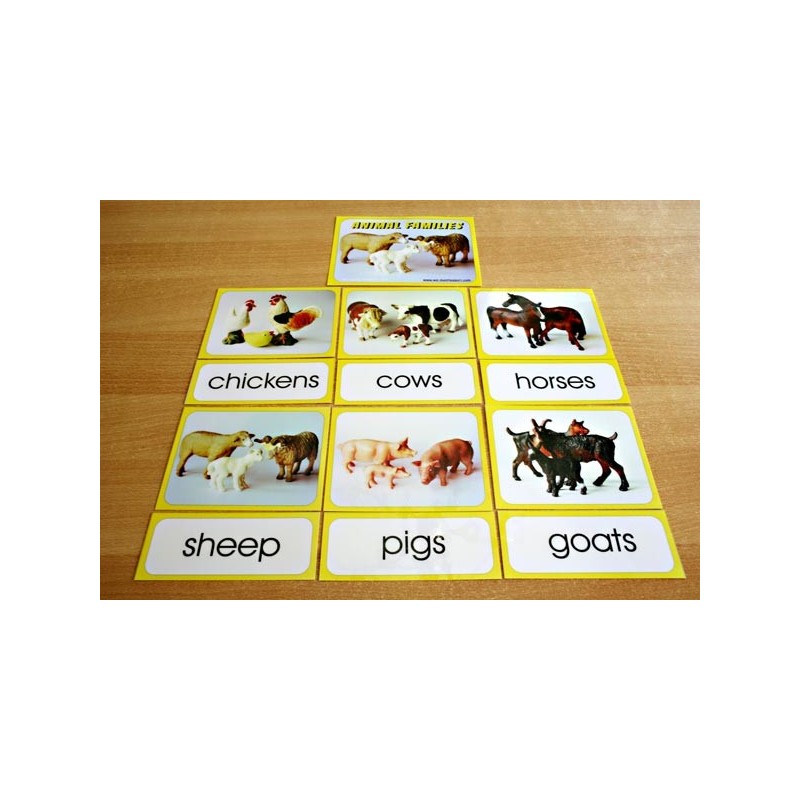 Animal Families	 (Dieser Artikel ist auch in deutsch erhältlich)