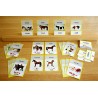 Animal Families (This article is also available in German)
