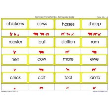 Animal Families	 (Dieser Artikel ist auch in deutsch erhältlich)